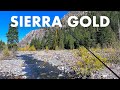 Creek Fishing In The Sierra Nevada Of California Tenkara Fly Fishing