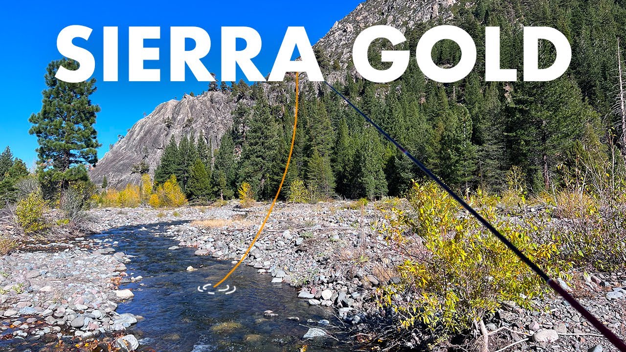 Creek Fishing in the Sierra Nevada of California (Tenkara Fly Fishing)