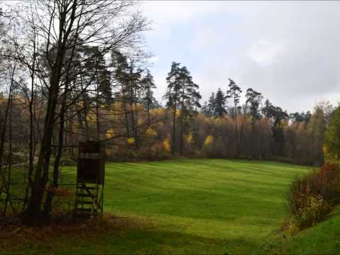 Im schönsten Wiesengrunde - Hermann Prey