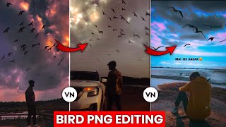How To Edit Birds Png Video Editing😱🔥  Trend