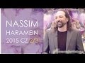 Nassim Haramein 2015 2/3 - Reality is made out of pixels