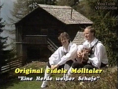 Original fidele Mölltaler - Eine Herde weißer Schafe - 1989
