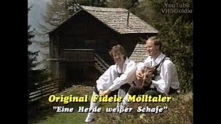 Original fidele Mölltaler - Eine Herde weisser Schafe - 1995