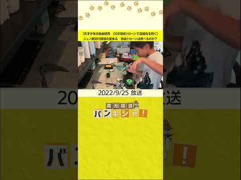 植樹ドローンが気候変動対策に使用される