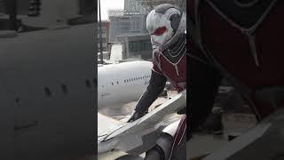 Arachnid VS Insect