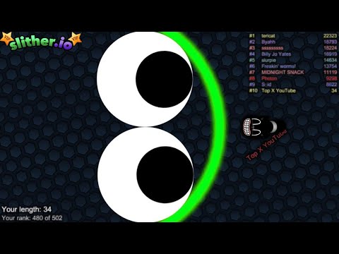 Slither.io A.I. CARTOON CAT Vs GIANT Pro Snakes - Epic Skin Slitherio Vip Gameplay - World Record