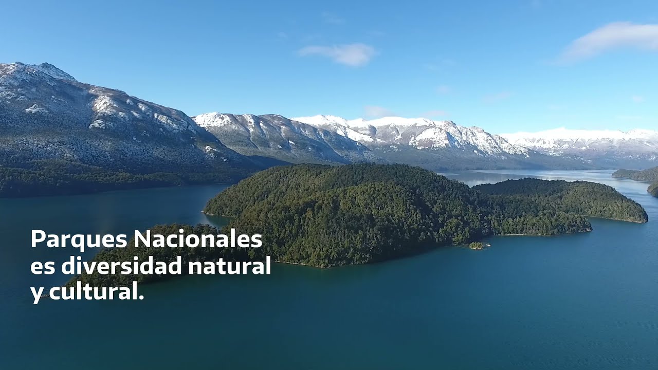 youtube video id=n2LU77oYCdc