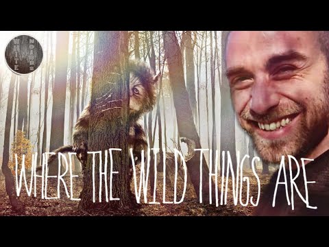 Nel Paese delle Creature Selvagge - Spike Jonze | Recensione | L'Impero del Cinema (Monografia pt.3)