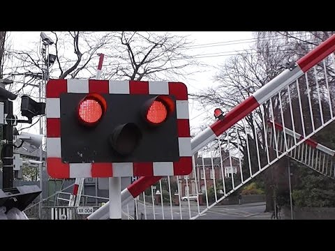 Level Crossing - Sydney Parade - 2 x IE 8520 Class Dart Trains