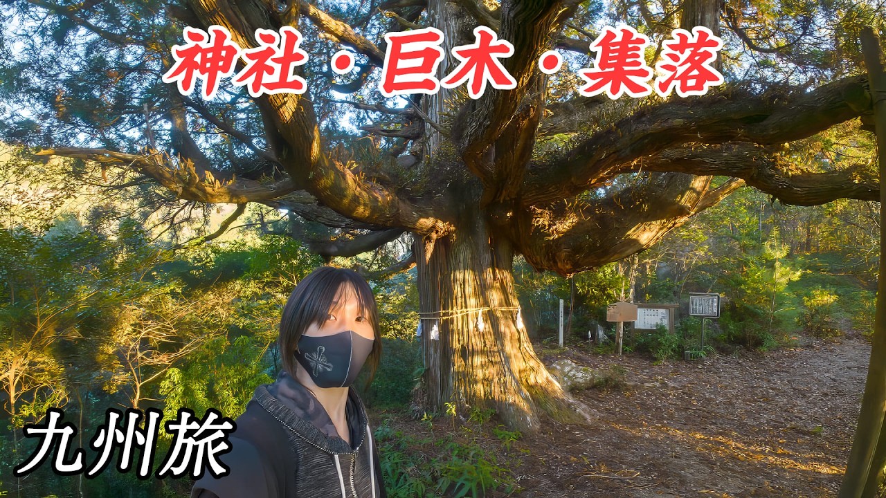 宮崎県西都市周辺の神社や巨木、集落を巡る