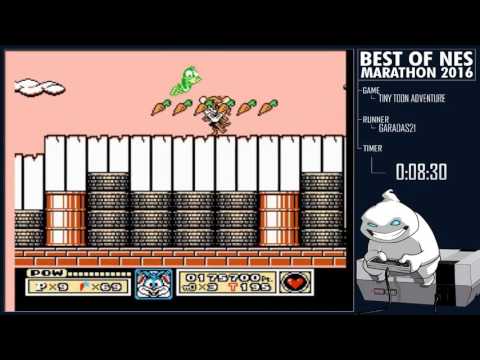 Best of NES 2016 - Tiny Toons Adventures by Garadas21