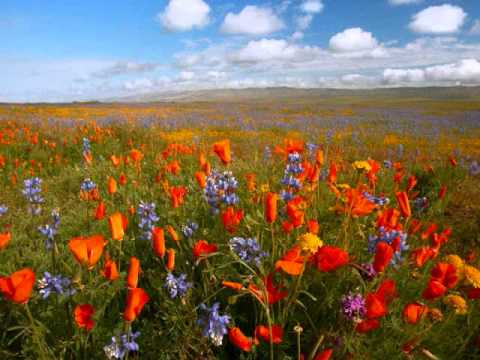 download lagu mp3 mp4 Se Vive Solamente Una Vez, download lagu Se Vive Solamente Una Vez gratis, unduh video klip Se Vive Solamente Una Vez