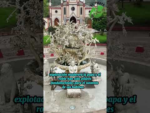 Un pueblito lleno de historia.