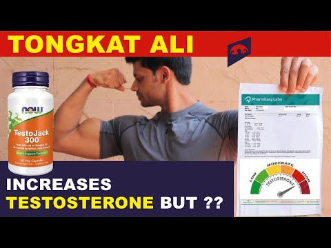 Tongkat Ali Extract Powder