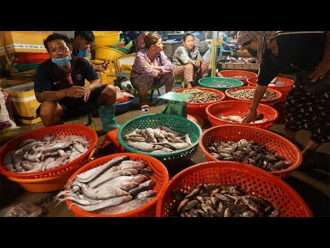 Early Morning Fish Market Scene @Bridge of Prek Phnov - The Big Site Distribute Fish & SeaFood