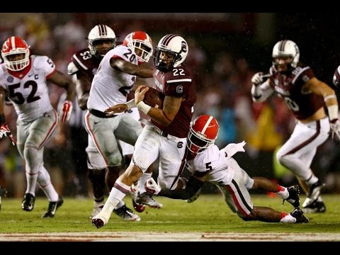 Brandon Wilds 24 Yard TD Run (Georgia) 2014