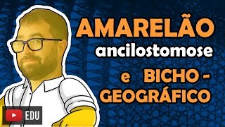 Ancilostomose (Amarelão) e Bicho-geográfico - Aula 15 - Módulo VI: Zoologia | Prof. Guilherme