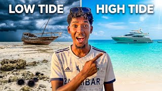 Where to Stay in Zanzibar 2026 (Don’t Book Until You Understand this)