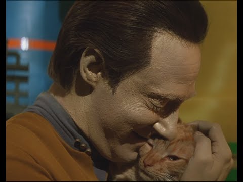 Ookla the Mok : Spot the cat (Fan video)