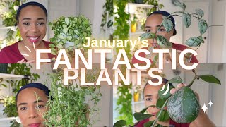 😅Some difficult plants became easier- HOW? 🪴January Favourites 💛