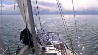 Set Me Free | Chris Rea | Spinnaker Sailing | Windpoet