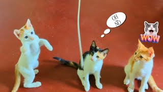 Kittens Play Time❤️🐾️😹Happy Moments 🐾️#cutecat #funnykittens #catlovers