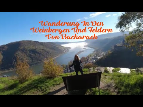 Wandern in den Weinbergen und Feldern von Bacharach