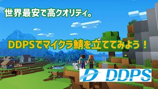 【マイクラPE】世界最安！？たったの198円でマイクラ鯖を立てる方法【DDPS】