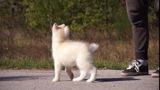 DELOKIS TERRA NURIA THE FUTURE IS OURS