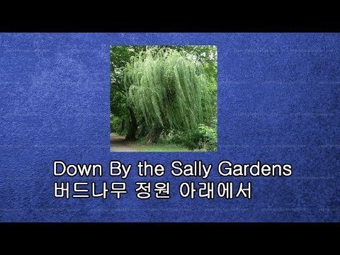Calum Malcolm - Down By The Sally Gardens - 버드나무 정원 아래에서 2009