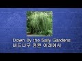 Calum Malcolm - Down By The Sally Gardens - 버드나무 정원 아래에서 2009