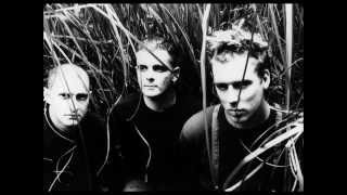 The Wolfgang Press - &quot;Ecstasy&quot; (instrumental)