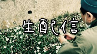 生配信