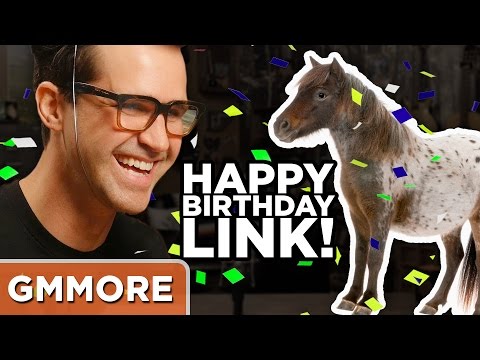 Miniature Horse Birthday Surprise Video