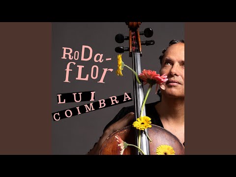 A Ciranda Rodava no Meio do Mundo