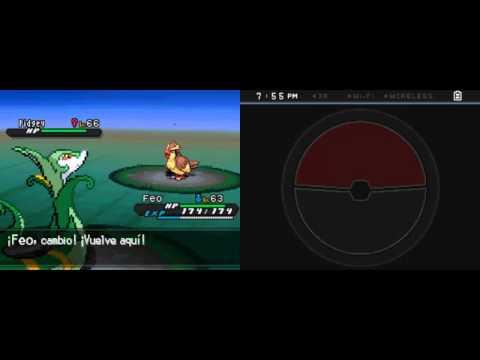 Pokemon Negro 2 Blanco 2 Guía Ep.53 - Ruta 2