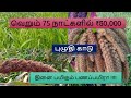 75 நாட்களில் 50 000 தரும் சிறு தானியம் தின�