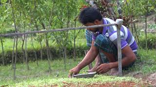 একটি বাড়ি একটি খামার