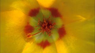 All I Need {{Acoustic}} - Bethany Dillon