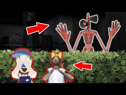 Siren Head vs Baby Granny vs Baby Ice Scream   funny horror animation parody part 20