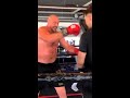 TYSON FURY SPORTING BIG BELLY AS HE BEGINS CAMP FOR DILLIAN WHYTE AS HE SMASHES THE PADS