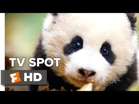 Born in China TV Spot – All Over the World (2017) | Movieclips Coming Soon