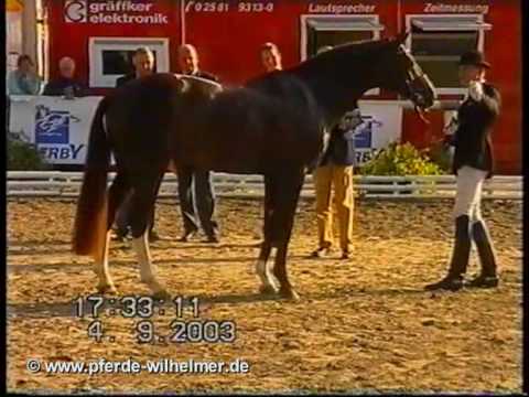 Belissimo M Bundeschampionat 2003