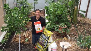 Fertilize Citrus, Avocado & Fruit Trees 3x Each Year--ORGANICALLY!