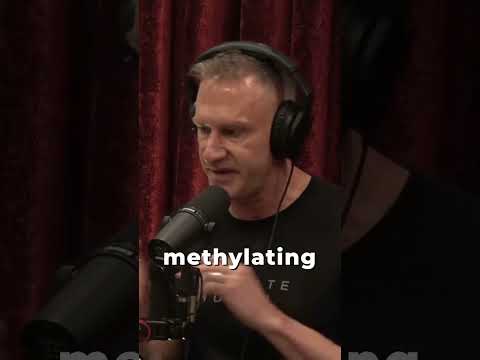 Everyone Should Take A Methylated Multivitamin with Gary Brecka and Joe Rogan