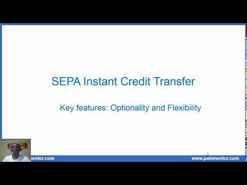 SEPA Instant Credit Transfer key features - Optionality and Flexibility