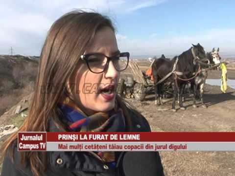 PRINSI LA FURAT DE LEMNE