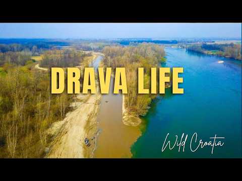 Revitalizacija rijeke Drave - projekt Drava LIFE