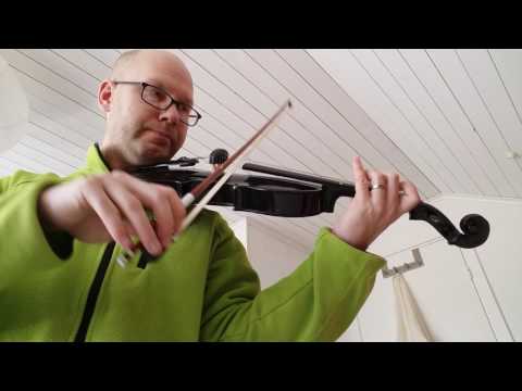 Lär mig spela fiol - 3 månader