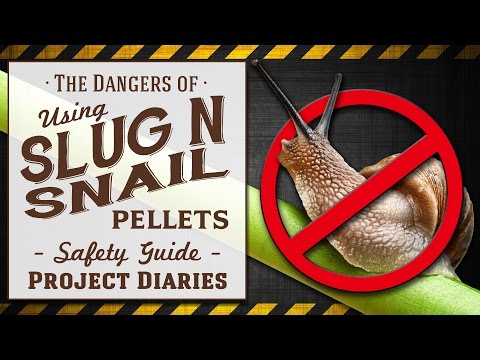 ★ The Dangers of Slug & Snail Pellets (A Complete Safety Guide)